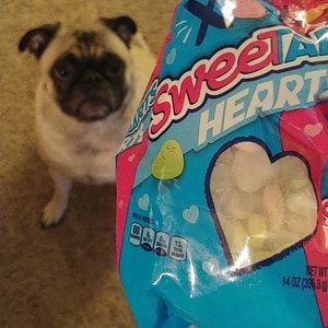 Meet your Posher, Dallas